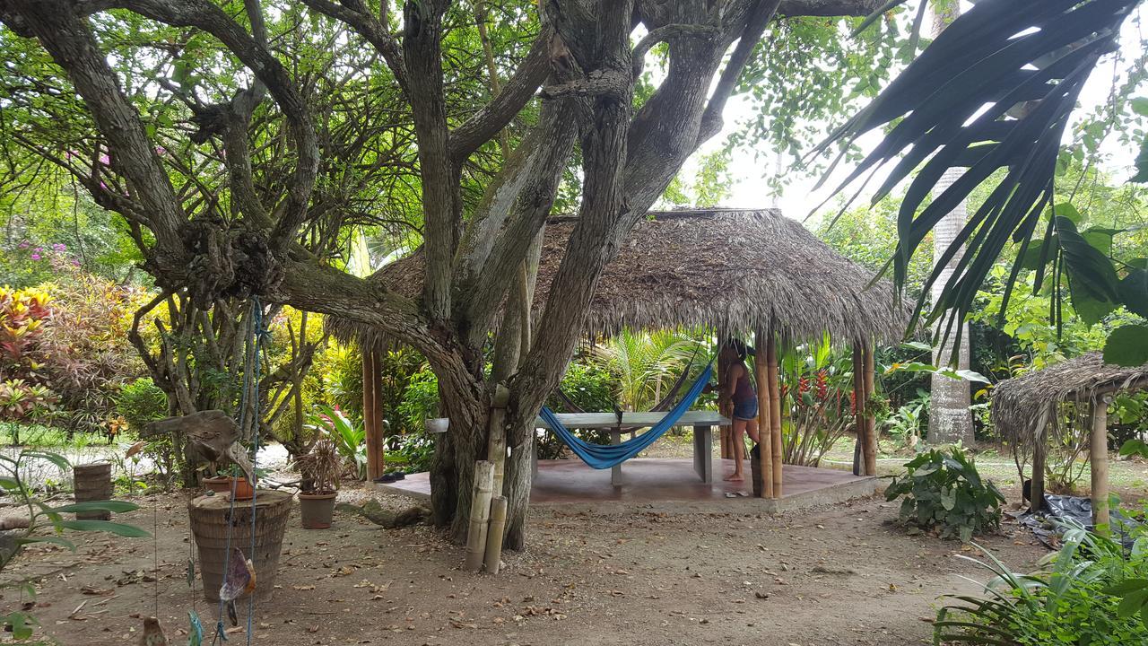 Las Cabanas De La Iguana 阿亚姆佩 外观 照片